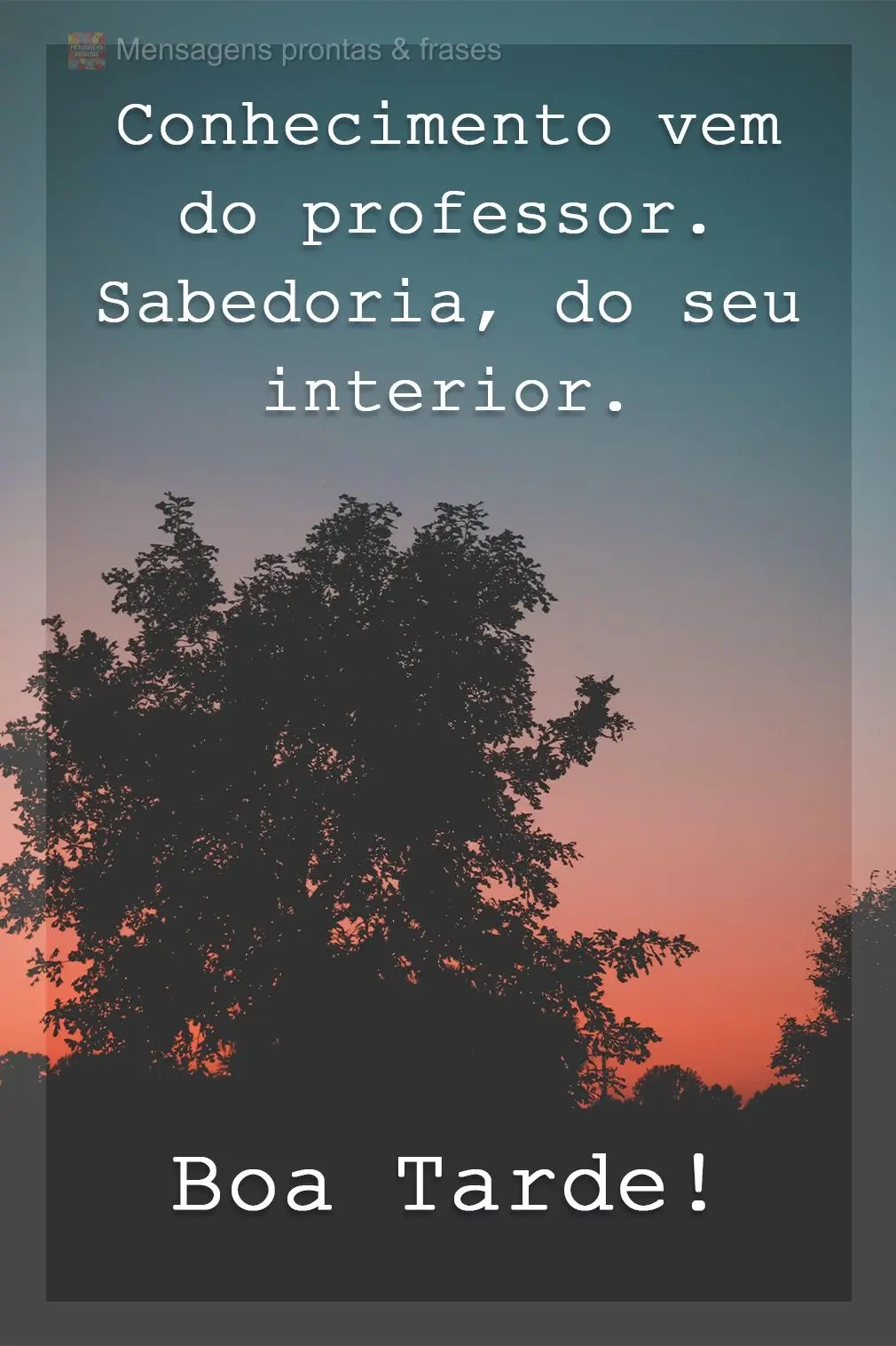 Conhecimento vem do professor. Sabedoria, do seu interior! Boa Tarde!