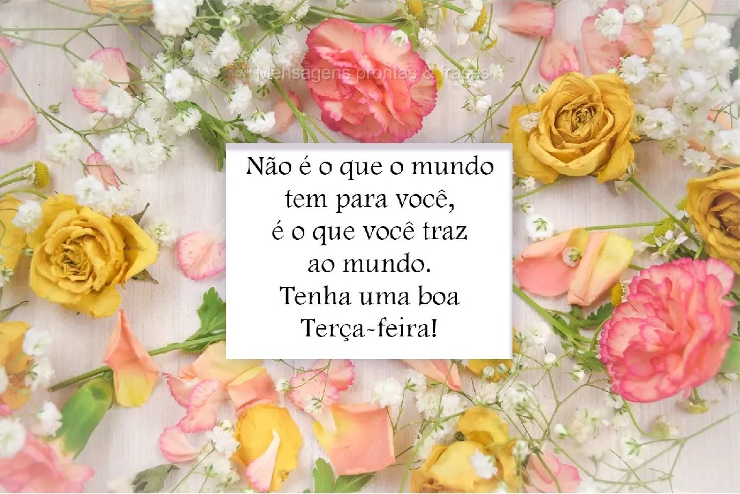 Não é o que o mundo tem para você, é o que você traz ao mundo.  Tenha uma boa Terça-feira!