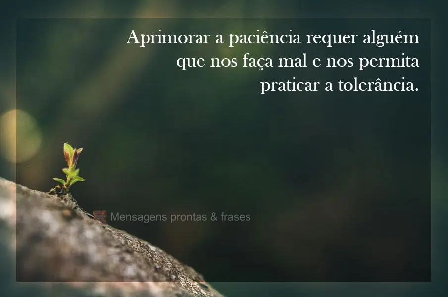 Aprimorar a paciência requer alguém que nos faça mal e nos permita praticar a tolerância.