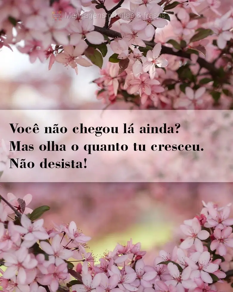 Você não chegou lá ainda? Mas olha o quanto tu cresceu. Não desista!