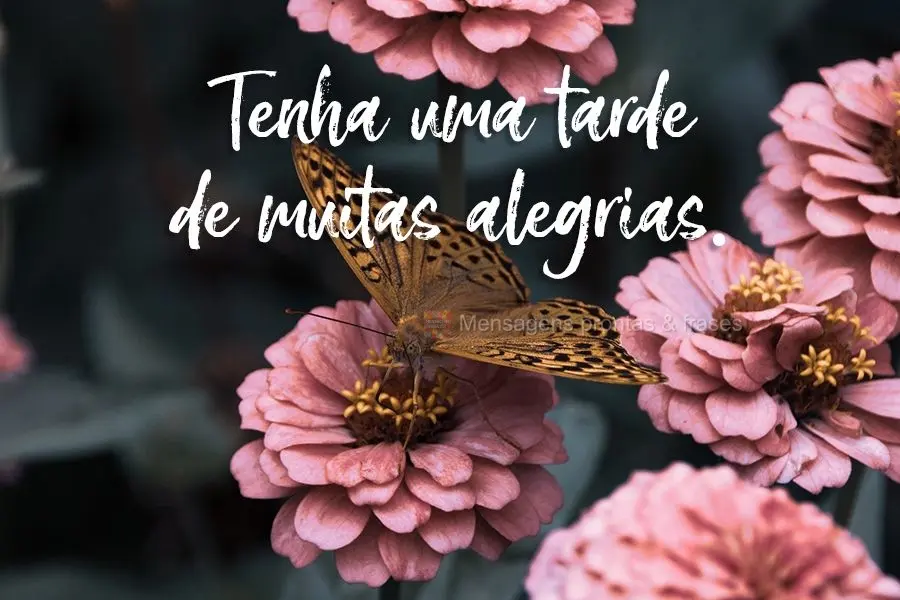 Tenha uma tarde de muitas alegrias.