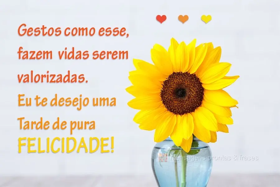 Gestos como esse, fazem  vidas serem valorizadas. Eu te desejo uma Tarde de pura felicidade!