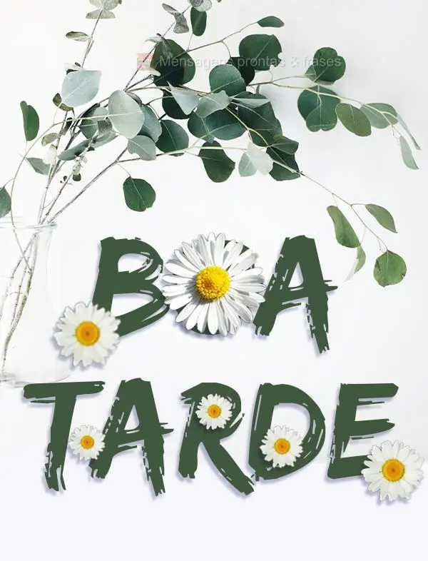 BOA TARDE