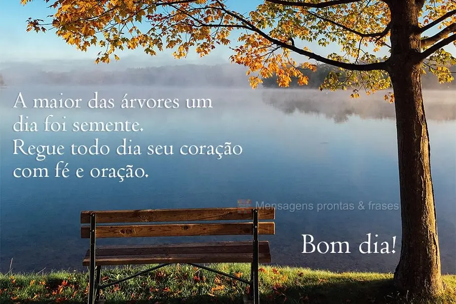 Bom dia (Mais compartilhados) - Página 95