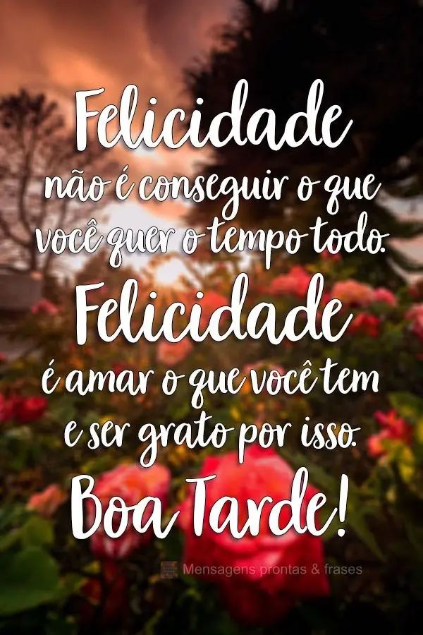 Felicidade não é conseguir o que você quer o tempo todo. Felicidade é amar o que você tem e ser grato por isso.
  Boa Tarde!
