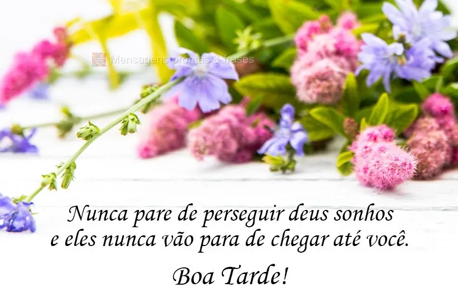 Nunca pare de perseguir seus sonhos e eles nunca vão parar de chegar até você.  Boa Tarde!