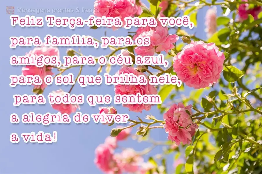 Feliz Terça-feira para você, para família, para os amigos, para o céu azul, para o sol que brilha nele, para todos que sentem a alegria de viver a vi...