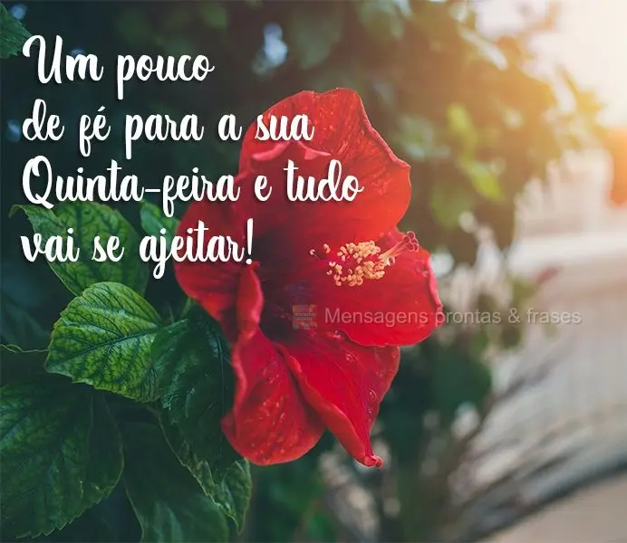 Um pouco de fé para a sua Quinta-feira e tudo vai se ajeitar!
