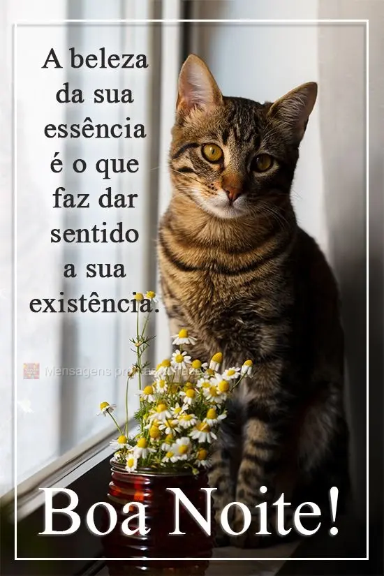 A beleza da sua essência é o que faz dar sentido a sua existência. 
 Boa Noite!