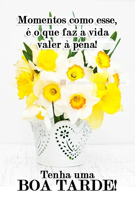 Momentos como esse, é o que faz a vida valer à pena!
 Tenha uma Boa Tarde!