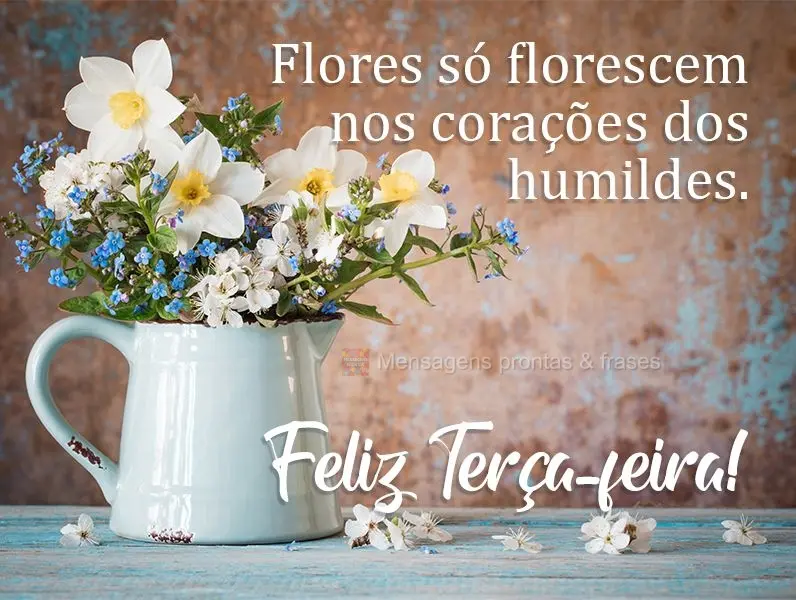 Flores só florescem nos corações dos humildes. 
 Feliz Terça-feira!