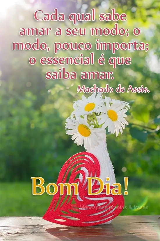 Cada qual sabe amar a seu modo; o modo, pouco importa; o essencial é que saiba amar. 
 Bom dia! Machado de Assis. 