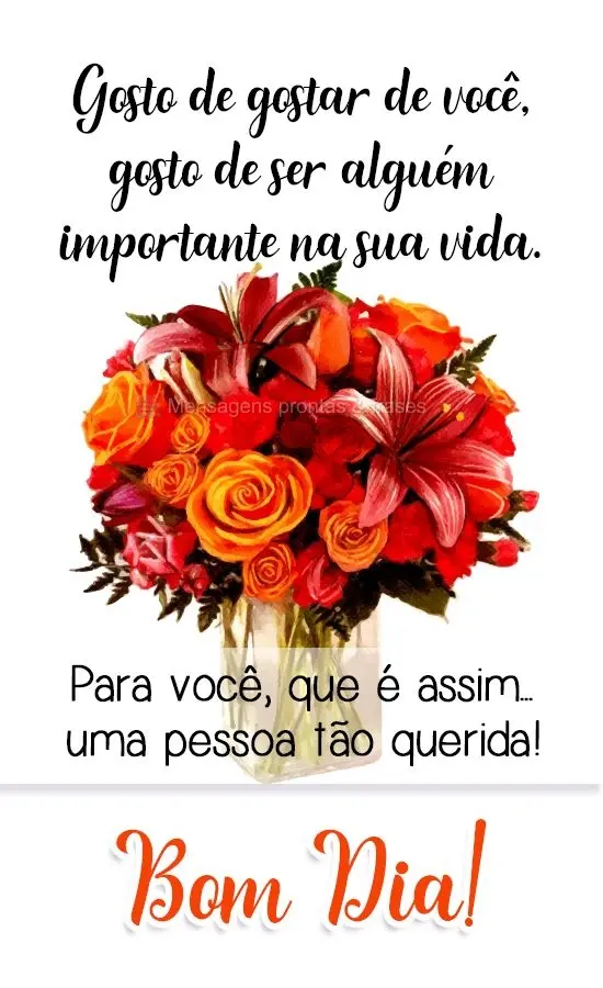 Gosto de gostar de você, gosto de ser alguém importante na sua vida. Para você, que é assim...um pessoa tão querida! 
 Bom Dia!