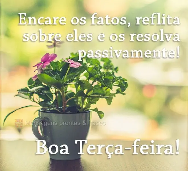 Encare os fatos, reflita sobre eles e os resolva passivamente! 
 Boa Terça-feira!