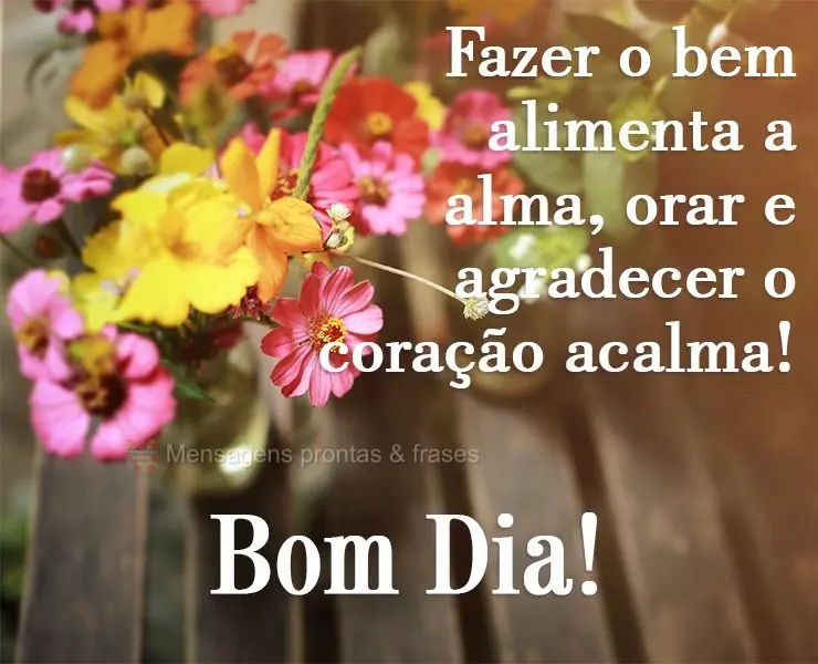 Bom dia (Mais compartilhados) - Página 72