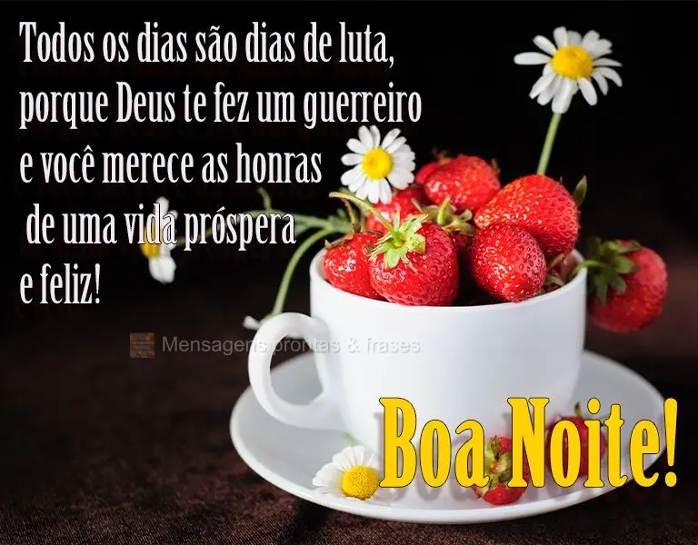 Todos os dias são dias de luta, porque Deus te fez um guerreiro e você merece as honras de uma vida próspera e feliz! 
 Boa Noite!