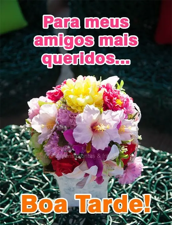 Para meus amigos mais queridos...
 Boa Tarde!