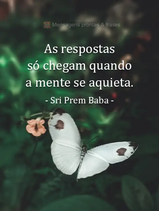 As respostas só chegam quando a mente se aquieta. 
 Sri Prem Baba