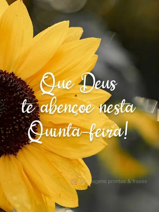 Que Deus te abençoe nesta Quinta-feira!
