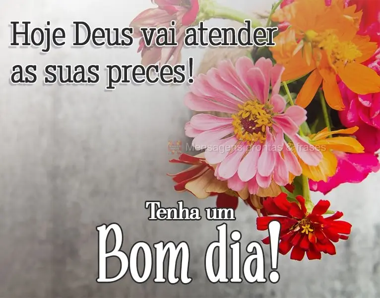 Hoje Deus vai atender as suas preces! 
 Tenha um Bom dia!