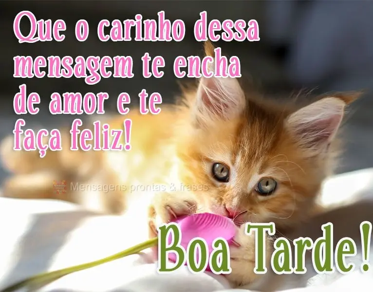 Que o carinho dessa mensagem te encha de amor e te faça feliz! 
 Boa Tarde!