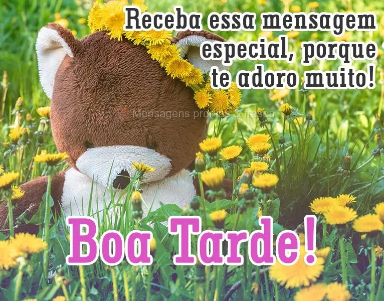 Receba esse carinho especial,porque te adoro muito! 
 Boa Tarde!