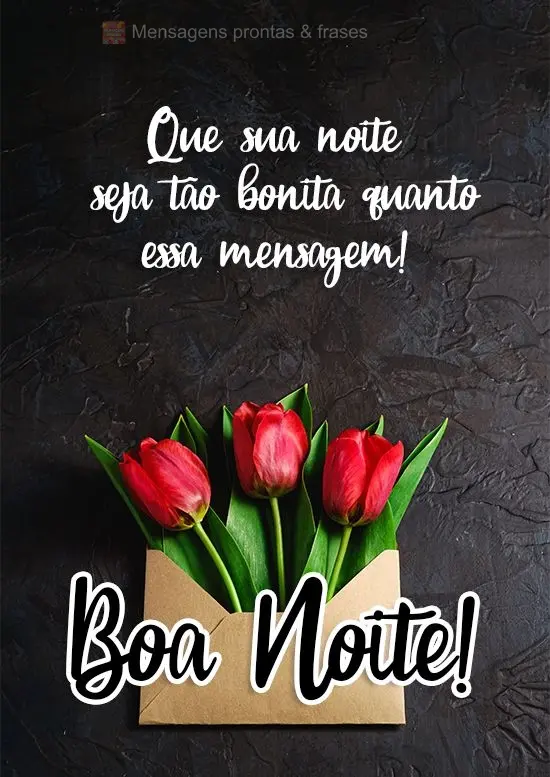 Que sua noite seja tão bonita quanto essa mensagem! Boa Noite!
