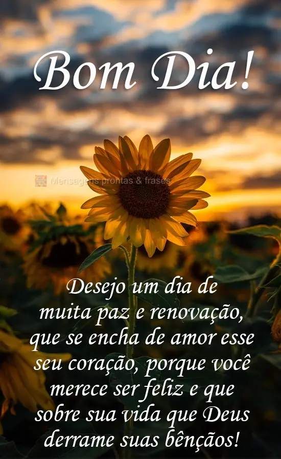 Desejo um dia de muita paz e renovação, que se encha de amor esse seu coração, porque você merece ser feliz; e que sobre sua vida que Deus derrame s...