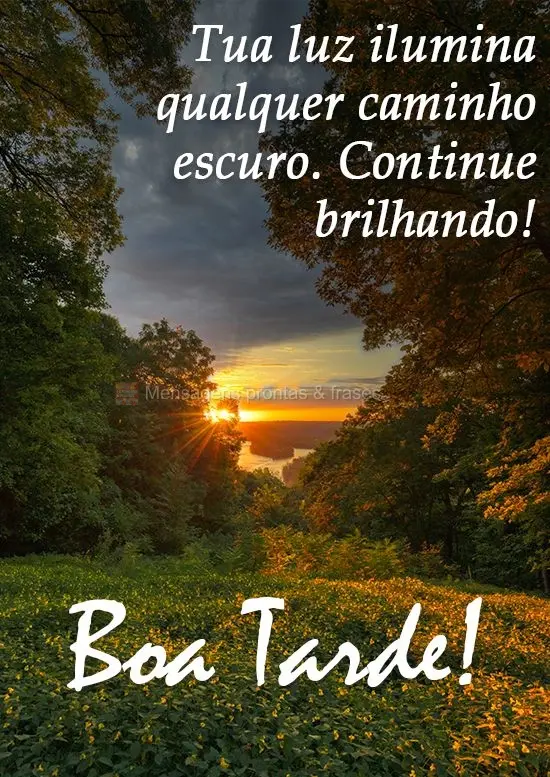 Tua luz ilumina qualquer caminho escuro, continue brilhando! 
 Boa Tarde!