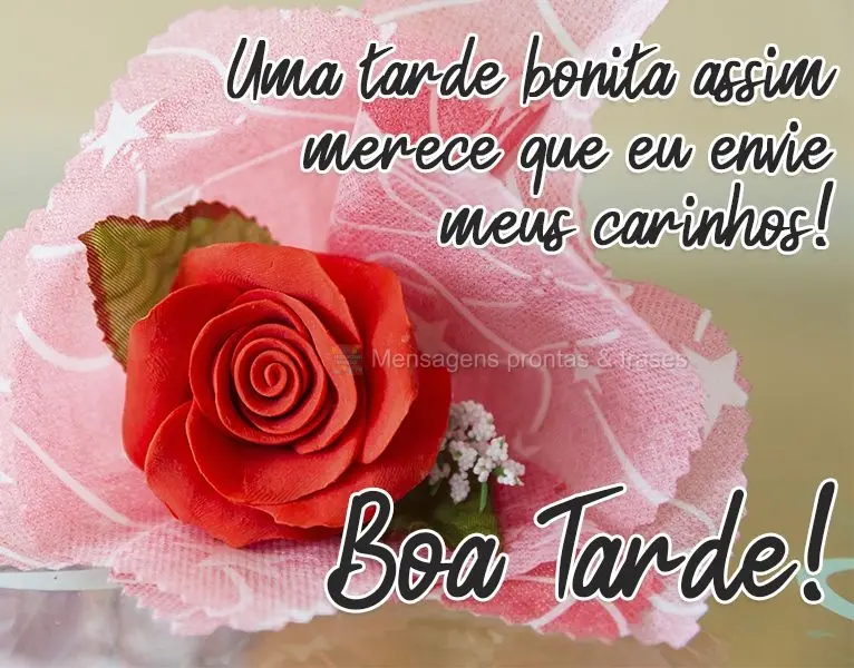 Uma tarde bonita assim merece que eu envie meus carinhos!
  Boa Tarde!