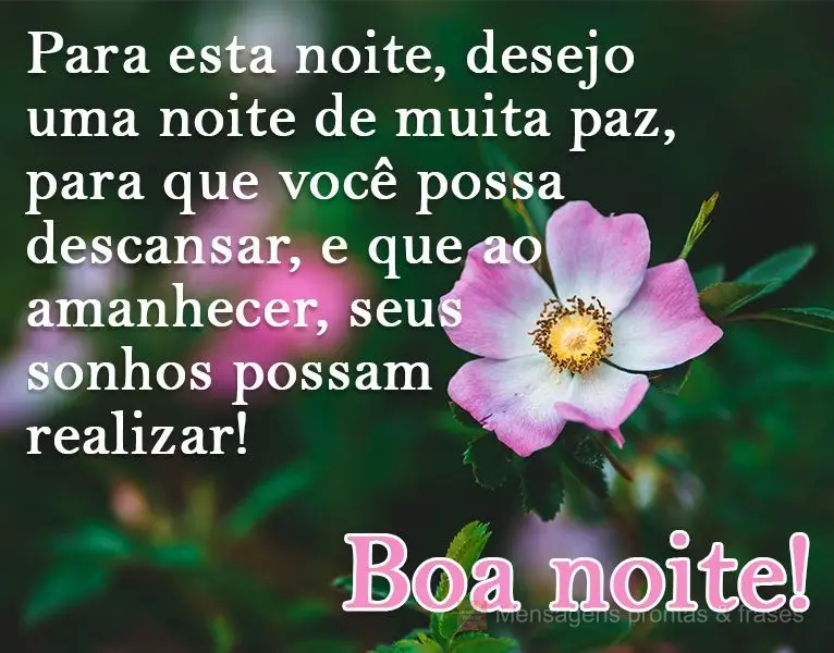 Para esta noite desejo uma noite de muita paz, para que você possa descansar. E que ao amanhecer, seus sonhos possam se realizar! 
 Boa noite!