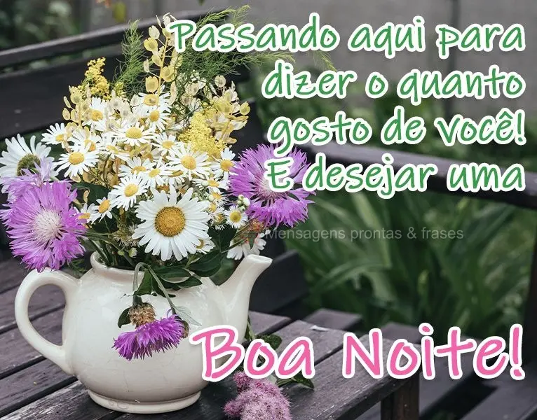 Passando aqui para dizer o quanto gosto de você! E desejar uma Boa Noite!

