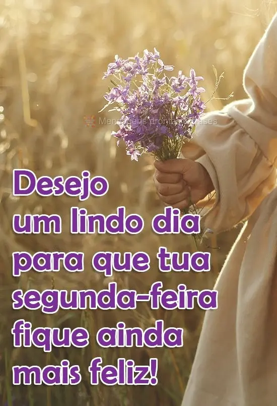 Desejo um lindo dia para que tua segunda-feira fique ainda mais feliz!
