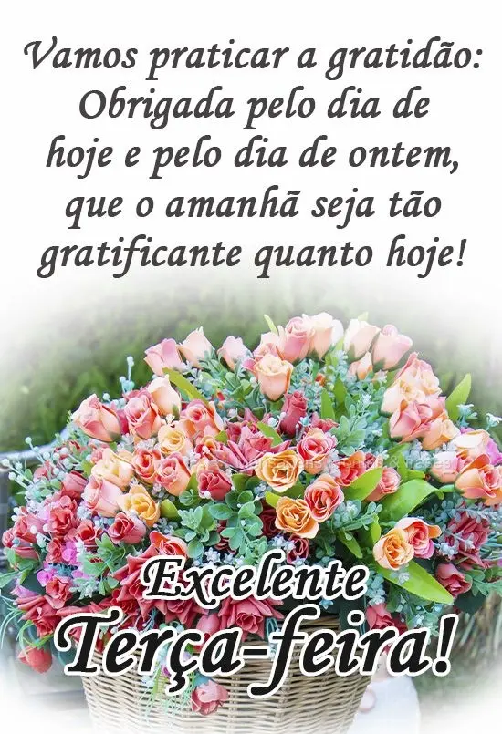Vamos praticar a gratidão: Obrigada pelo dia de hoje e pelo dia de ontem, que o amanhã seja tão gratificante quanto hoje! 
 Excelente terça-feira!...