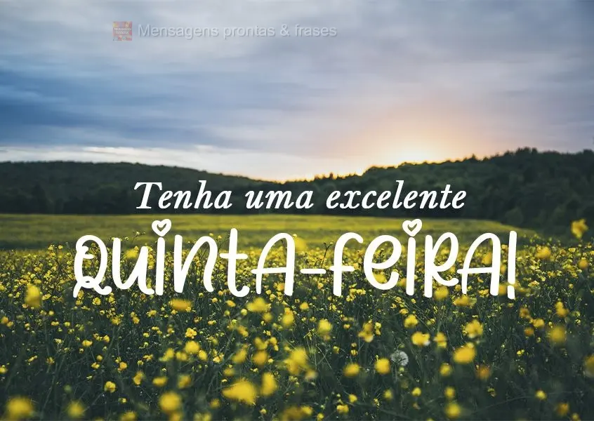 Tenha uma excelente quinta-feira!

