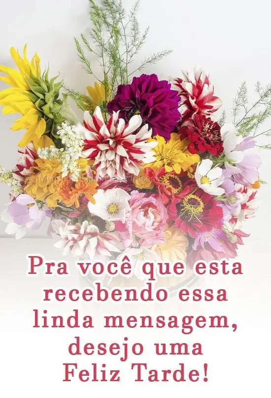 Pra você que está recebendo essa linda mensagem, desejo uma Feliz Tarde!
