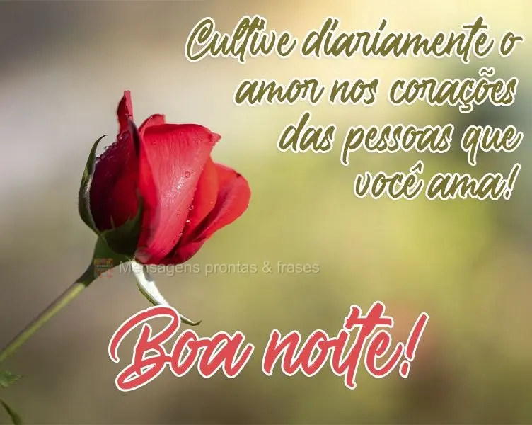 Cultive diariamente o amor nos corações das pessoas que você ama! 
 Boa noite!