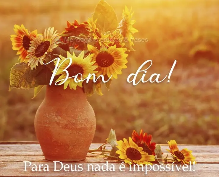 Bom dia (Mais compartilhados) - Página 73