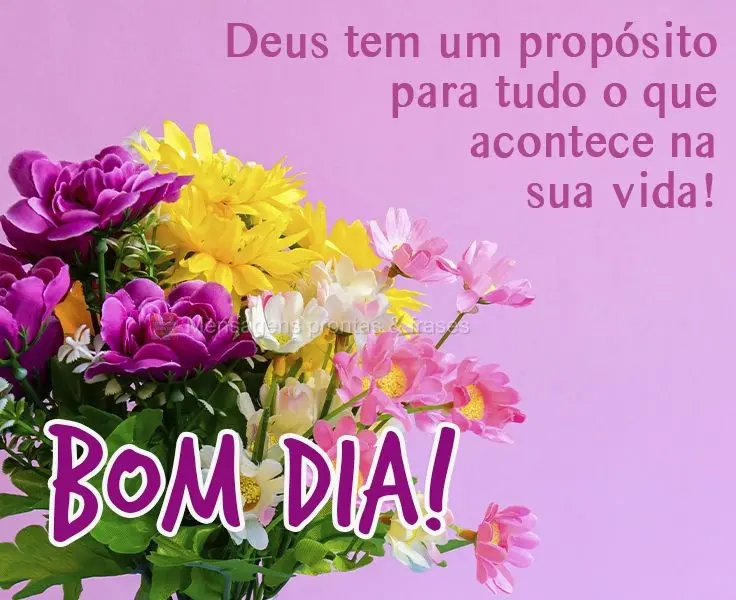 Bom dia (Mais compartilhados) - Página 76