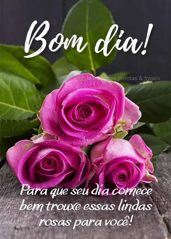 Bom dia (Mais compartilhados) - Página 63