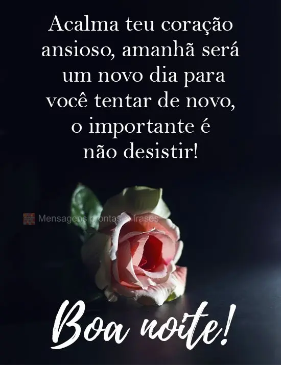 Acalma teu coração ansioso, amanhã será um novo dia para você tentar de novo, o importante é não desistir! 
 Boa noite!