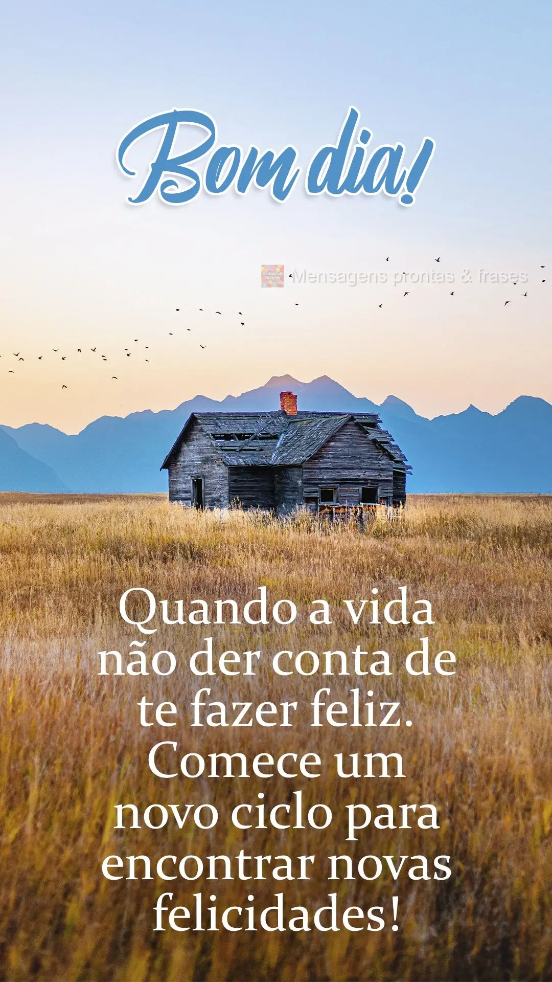 Quando a vida não der conta de te fazer feliz, comece um novo ciclo para encontrar novas felicidades!  Bom dia!