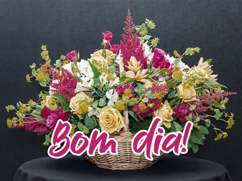 Bom dia!