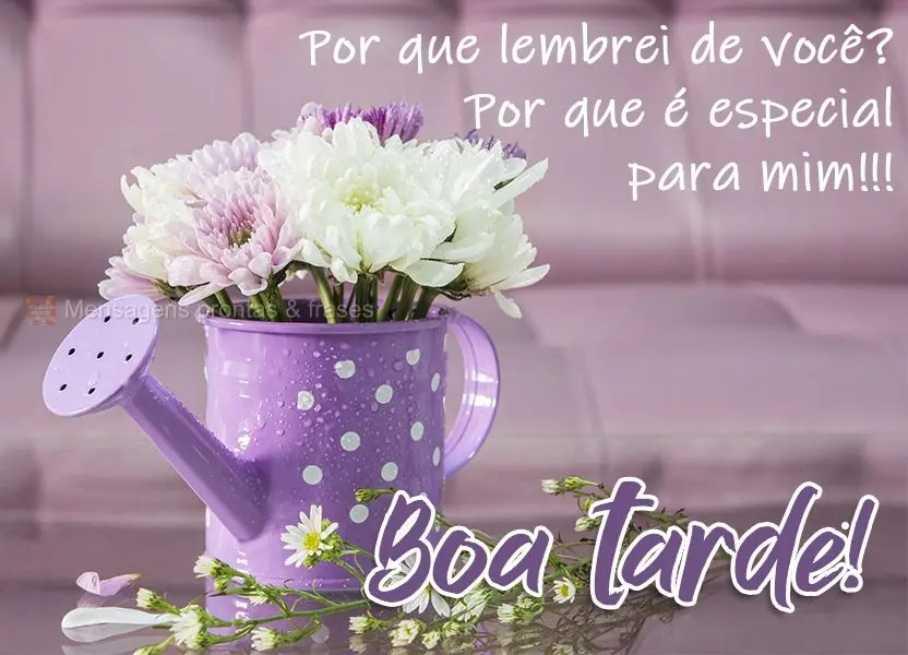 Porque lembrei de você? Porque é especial para mim!!!  Boa tarde!