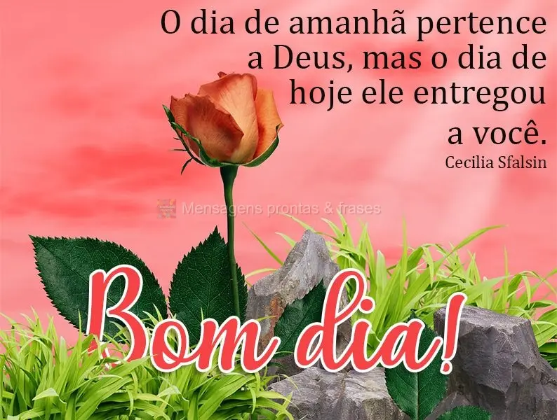 Bom dia (Mais compartilhados) - Página 13
