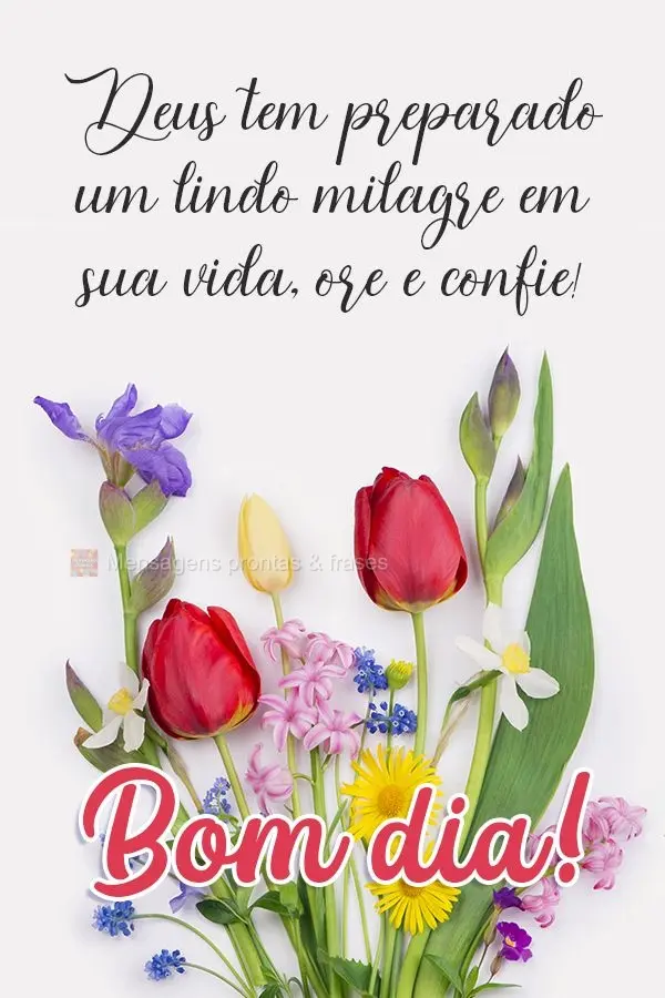 Bom dia (Mais compartilhados) - Página 32