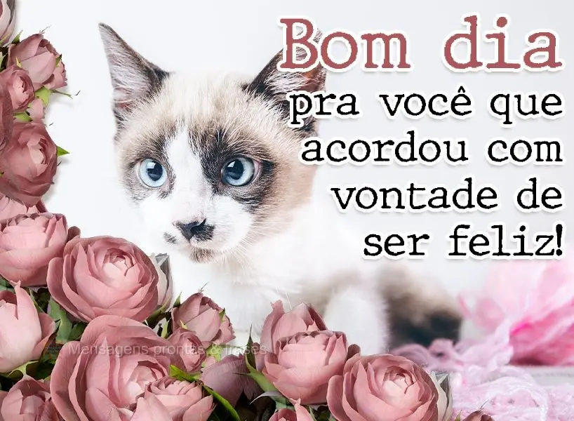 Bom dia pra você que acordou com vontade de ser feliz!