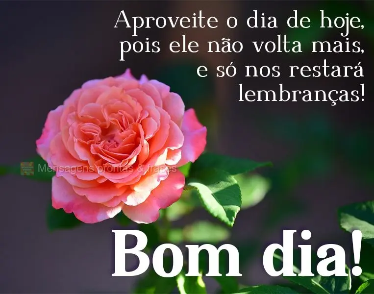 Aproveite o dia de hoje, pois ele não volta mais, e só nos restará lembranças! Bom dia! 