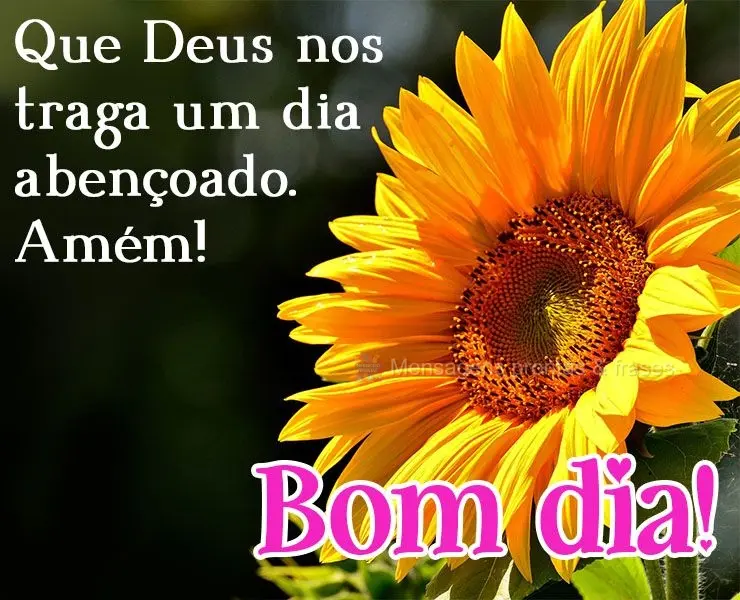 Que Deus nos traga um dia abençoado. Amém! Bom dia! 