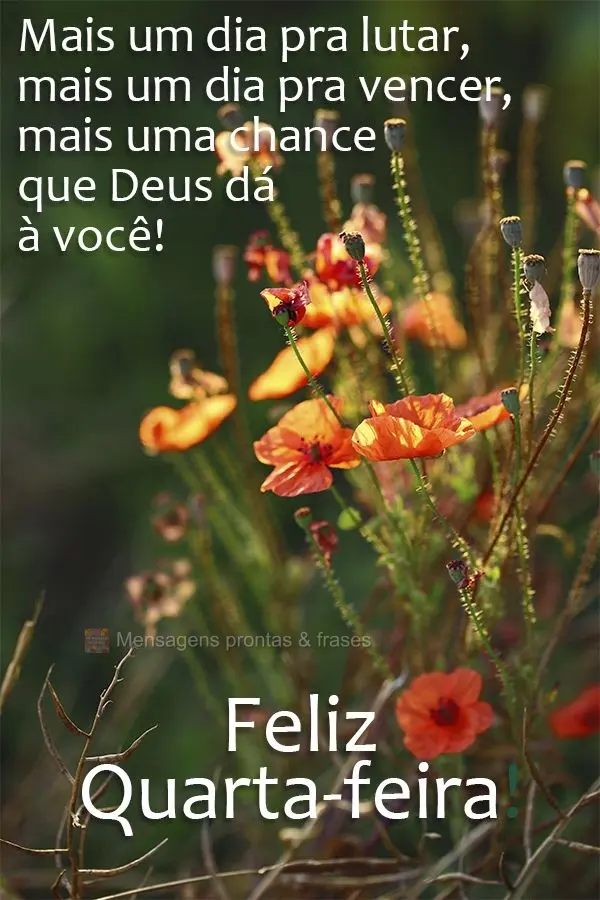 Mais um dia pra lutar, mais um dia pra vencer, mais uma chance que Deus dá à você!  Feliz Quarta-feira!